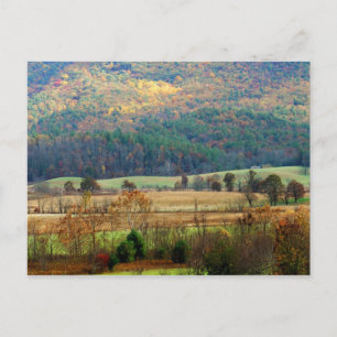 Cades Cove Autumn - Great Smoky Mountains Briefkaart