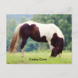 Cades Cove briefkaart