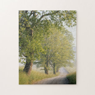 Cades Cove Great Smokey Mountains, TN Legpuzzel