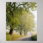 Cades Cove | Grote Smokeybergen, TN Poster (Voorkant)