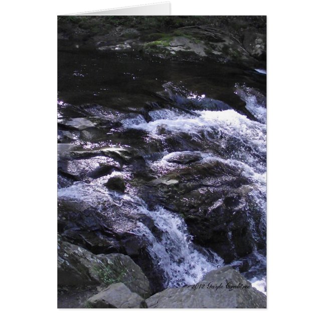Cades Cove mountainstream (Voorkant)