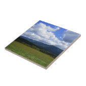 Cades Cove Tegeltje (Zijkant)