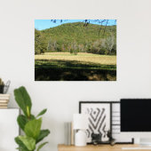 Cades Cove-veld Poster (Thuiskantoor)
