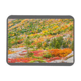 Cadillac Mountain in Herfst, Nationaal Park Acadia Magneet