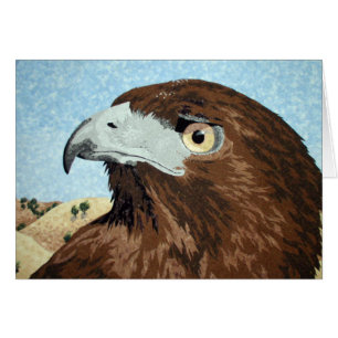 Cadir - Buse à queue rouge