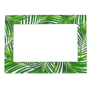 Cadre Aimanté Avec Photo Green Palm Tree Motif Vacances photo
