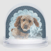 Cadre de chien bleu mignon Boule à neige