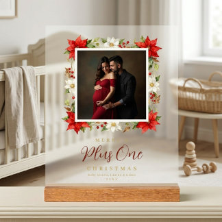 Cadre de Noël bébé Poinsettia délicat MH26