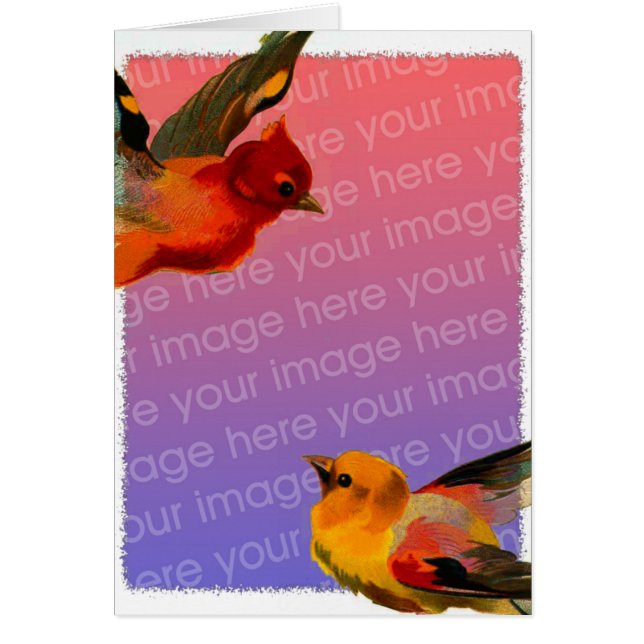 Cadre vintage pour oiseaux (Devant)