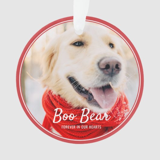 Cadres modernes Pet Memorial Photo simple (devant)