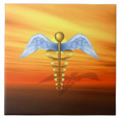 Caduceus Tegeltje (Voorkant)