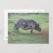 CAE5ULC1 BRIEFKAART (Voorkant / Achterkant)