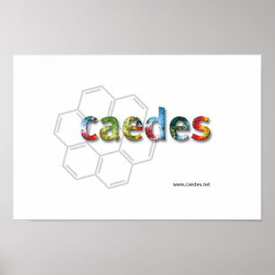 Caedes.net Logo Poster