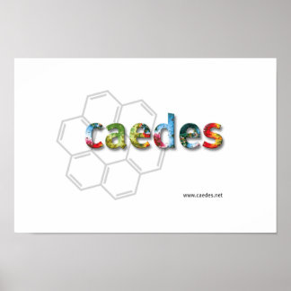Caedes.net Logo Poster