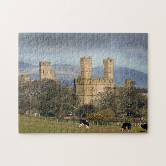 Caernarfon Castle in Wales Legpuzzel (Horizontaal)