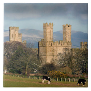 Caernarfon Castle Wales. Tegeltje