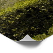 Caesars Palace 2007 Foto-Poster Poster (Hoek)