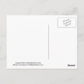 Cafe Au Lait Martini Recept Briefkaart (Achterkant)