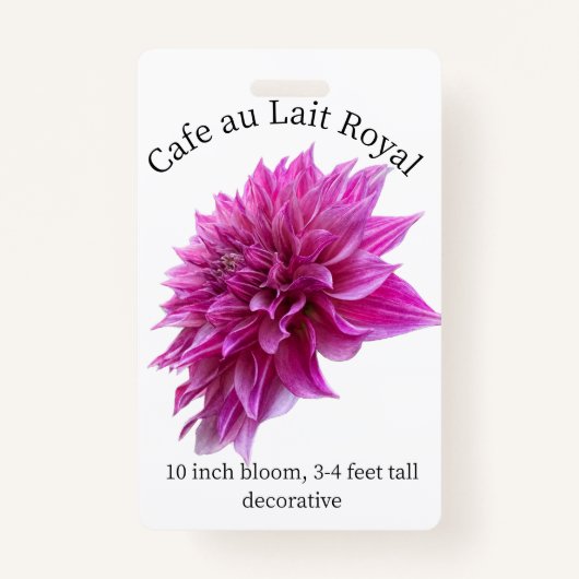 Cafe au Lait Royal Dahlia ID Badge