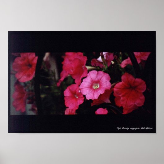 Cafe Beauty Poster (Voorkant)