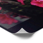 Cafe Beauty Poster (Hoek)