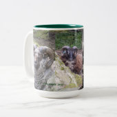 CAFÉ DE SHETLAND TUPS, TASSE DE CACAO (Devant gauche)