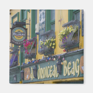 Café, Dingle, Dingle-schiereiland, County Kerry, Magneet