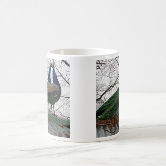 CAFÉ MUG AVEC PEACOCK IMAGE (Centre)