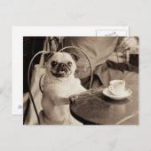 Cafe Pug Briefkaart (Voorkant / Achterkant)