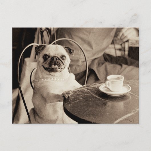 Cafe Pug Briefkaart (Voorkant)