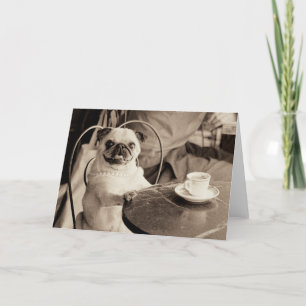 Cafe Pug Kaart