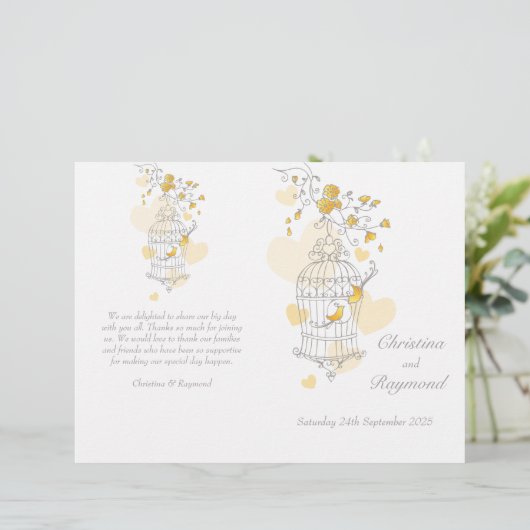 Cage d'oiseaux gris jaune grand programme de maria (Debout devant)