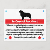 Cage pour chien - Carte en cas d'urgence : Aussie (Devant)