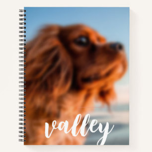Cahier à reliure spirale