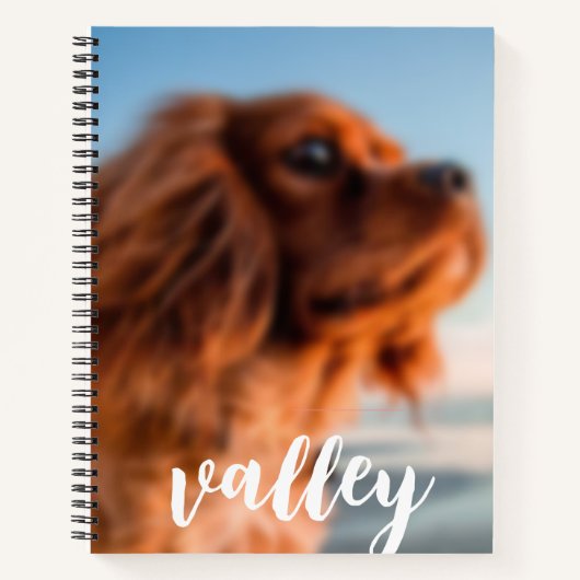 Cahier à reliure spirale (Devant)