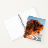Cahier à reliure spirale (Intérieur)
