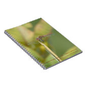 Cahier à reliure spirale avec photo de libellule (Côté Droit)