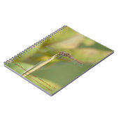 Cahier à reliure spirale avec photo de libellule (Côté gauche)