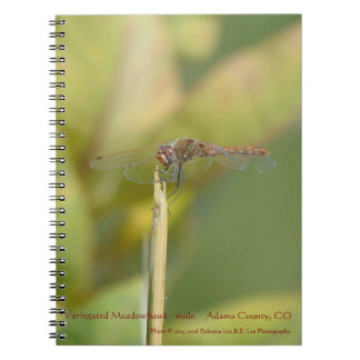 Cahier à reliure spirale avec photo de libellule