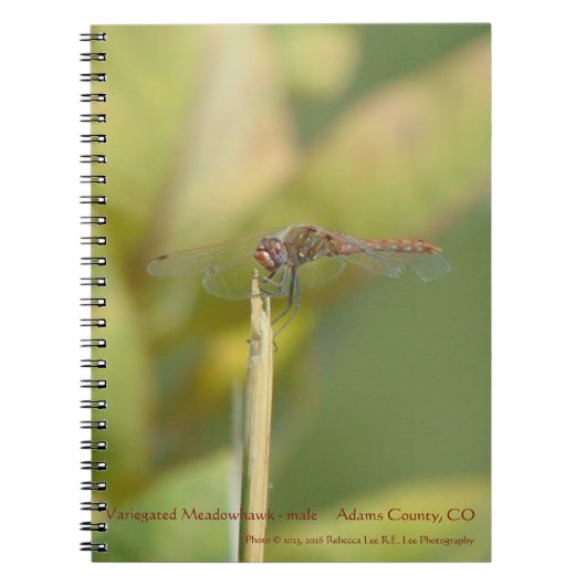 Cahier à reliure spirale avec photo de libellule (Devant)