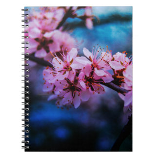 Cahier à reliure spirale de photographie d'art fin