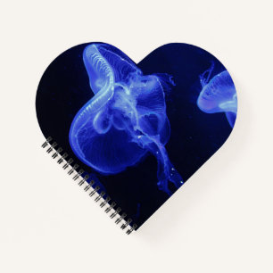 Cahier à reliure spirale en forme de cœur