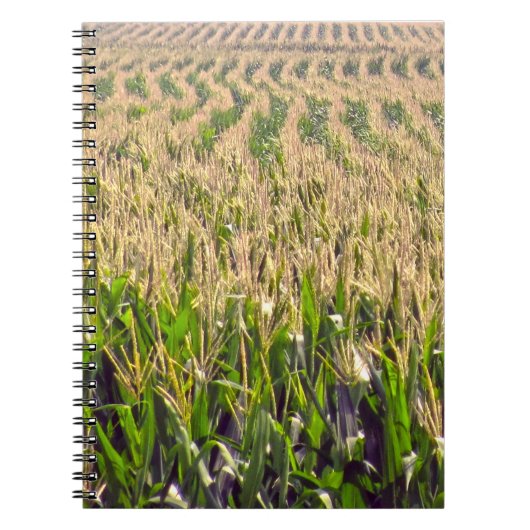 Cahier à reliure spirale Lignes sans fin de maïs (Devant)