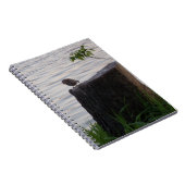 Cahier à reliure spirale Oiseau sur une souche (Côté Droit)