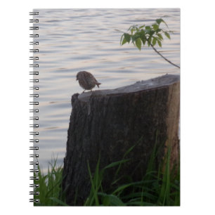 Cahier à reliure spirale Oiseau sur une souche