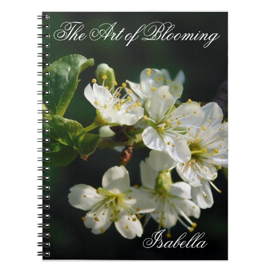 Cahier à reliure spirale Original White Plum Bloss (Devant)