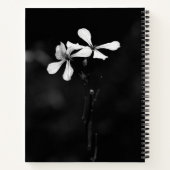 Cahier à spirale (Dos)