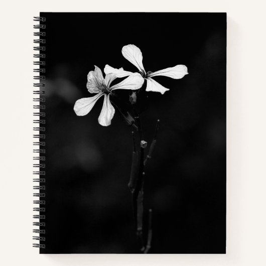 Cahier à spirale (Devant)