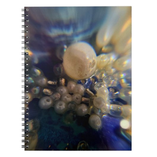 Cahier à spirale (Devant)