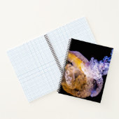 Cahier à spirale 21,59 cm x 27,94 cm (Intérieur)